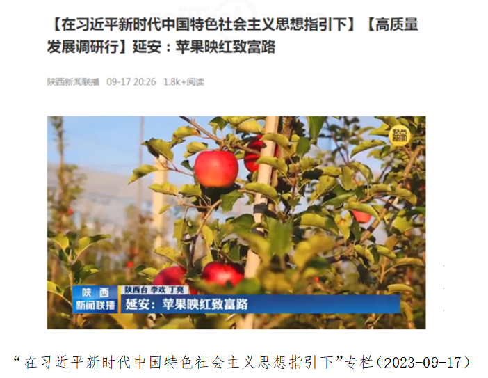ý弯ţ㲥̨2023α